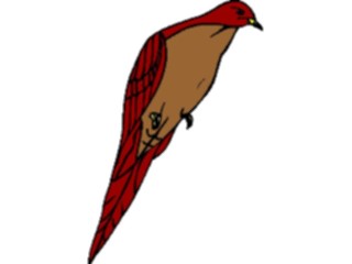 Sticker Custom Preview Image #016081 Animals Birds Bird039