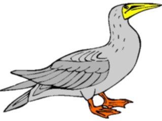 Sticker Custom Preview Image #016092 Animals Birds Bird050