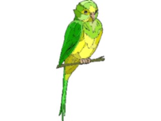 Sticker Custom Preview Image #016098 Animals Birds Bird056