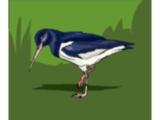 Sticker Custom Preview Image #016101 Animals Birds Bird059