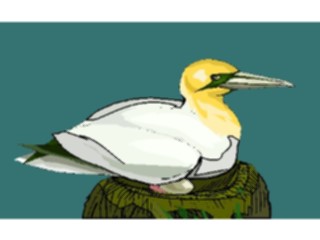 Sticker Custom Preview Image #016103 Animals Birds Bird061