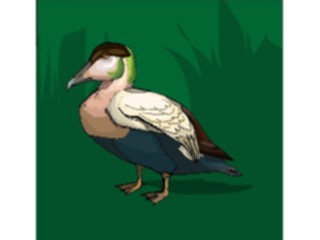Sticker Custom Preview Image #016105 Animals Birds Bird063