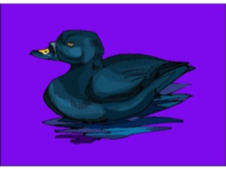 Sticker Custom Preview Image #016106 Animals Birds Bird064