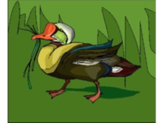 Sticker Custom Preview Image #016109 Animals Birds Bird067