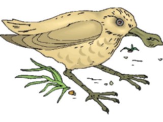 Sticker Custom Preview Image #016121 Animals Birds Bird079