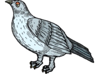 Sticker Custom Preview Image #016123 Animals Birds Bird081