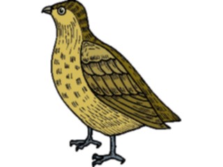 Sticker Custom Preview Image #016124 Animals Birds Bird082