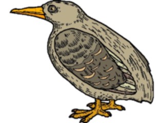 Sticker Custom Preview Image #016125 Animals Birds Bird083