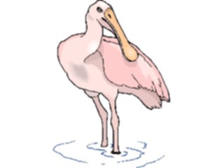 Sticker Custom Preview Image #016130 Animals Birds Bird088