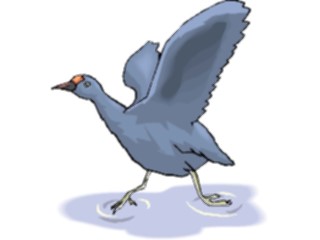 Sticker Custom Preview Image #016132 Animals Birds Bird090