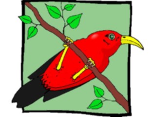 Sticker Custom Preview Image #016138 Animals Birds Bird096