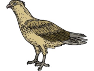 Sticker Custom Preview Image #016140 Animals Birds Bird098