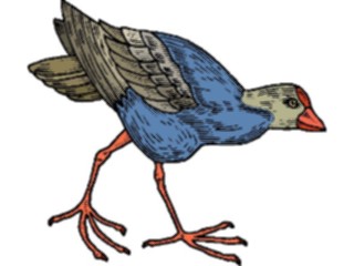 Sticker Custom Preview Image #016142 Animals Birds Bird100