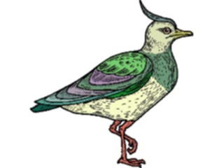 Sticker Custom Preview Image #016143 Animals Birds Bird101