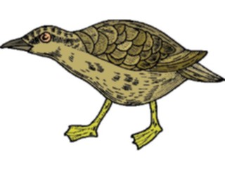 Sticker Custom Preview Image #016145 Animals Birds Bird103
