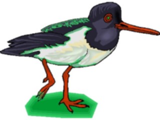 Sticker Custom Preview Image #016154 Animals Birds Bird112