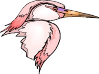 Sticker Custom Preview Image #016157 Animals Birds Bird115