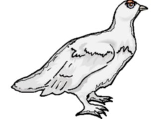 Sticker Custom Preview Image #016160 Animals Birds Bird118