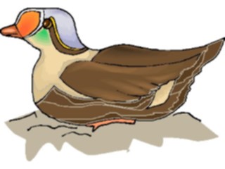 Sticker Custom Preview Image #016161 Animals Birds Bird119