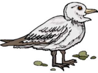 Sticker Custom Preview Image #016163 Animals Birds Bird121