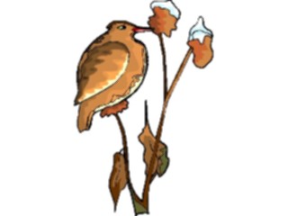 Sticker Custom Preview Image #016165 Animals Birds Bird123