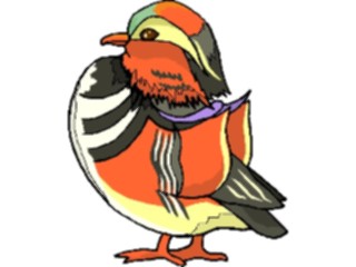 Sticker Custom Preview Image #016169 Animals Birds Bird127