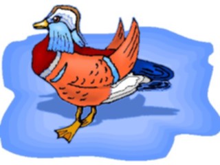 Sticker Custom Preview Image #016170 Animals Birds Bird128