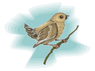 Sticker Custom Preview Image #016183 Animals Birds Bird141