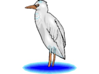 Sticker Custom Preview Image #016187 Animals Birds Bird145
