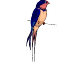 Sticker Custom Preview Image #016189 Animals Birds Bird147