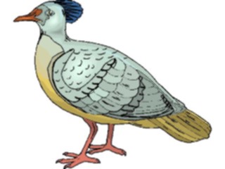 Sticker Custom Preview Image #016191 Animals Birds Bird149