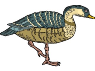 Sticker Custom Preview Image #016192 Animals Birds Bird150