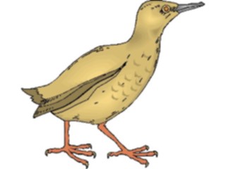 Sticker Custom Preview Image #016194 Animals Birds Bird152