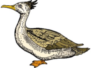 Sticker Custom Preview Image #016195 Animals Birds Bird153