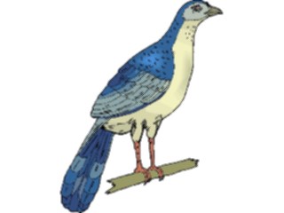 Sticker Custom Preview Image #016196 Animals Birds Bird154