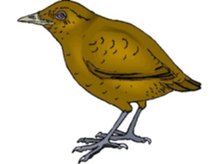 Sticker Custom Preview Image #016197 Animals Birds Bird155
