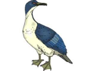 Sticker Custom Preview Image #016199 Animals Birds Bird157