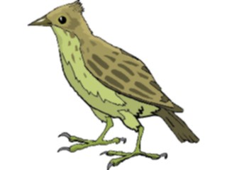 Sticker Custom Preview Image #016203 Animals Birds Bird161