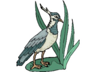 Sticker Custom Preview Image #016208 Animals Birds Bird166
