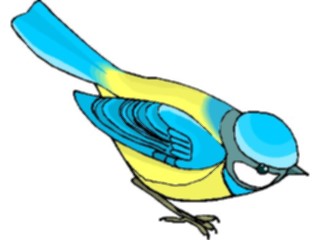 Sticker Custom Preview Image #016211 Animals Birds Bird169