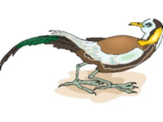 Sticker Custom Preview Image #016213 Animals Birds Bird171