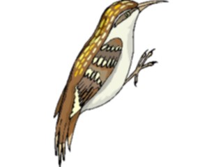 Sticker Custom Preview Image #016215 Animals Birds Bird173