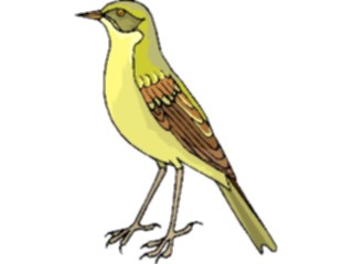 Sticker Custom Preview Image #016221 Animals Birds Bird179