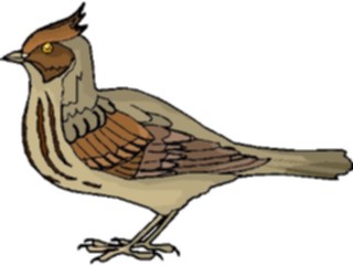 Sticker Custom Preview Image #016222 Animals Birds Bird180