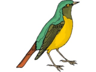 Sticker Custom Preview Image #016223 Animals Birds Bird181
