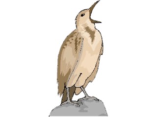 Sticker Custom Preview Image #016224 Animals Birds Bird182