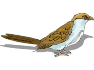 Sticker Custom Preview Image #016227 Animals Birds Bird185