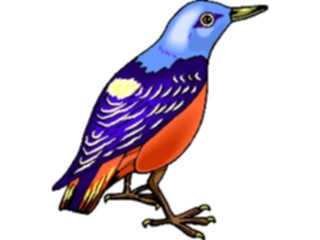 Sticker Custom Preview Image #016233 Animals Birds Bird191