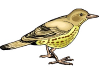 Sticker Custom Preview Image #016234 Animals Birds Bird192