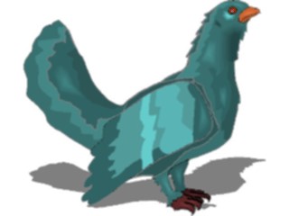 Sticker Custom Preview Image #016238 Animals Birds Bird196